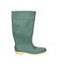 Dikamar Pricebuster/Evora Wellington / Mens Boots / Plain Rubber Wellingtons (Green) - UTFS1132
