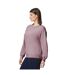 Pull Softstyle Adulte Taupe Gildan-3