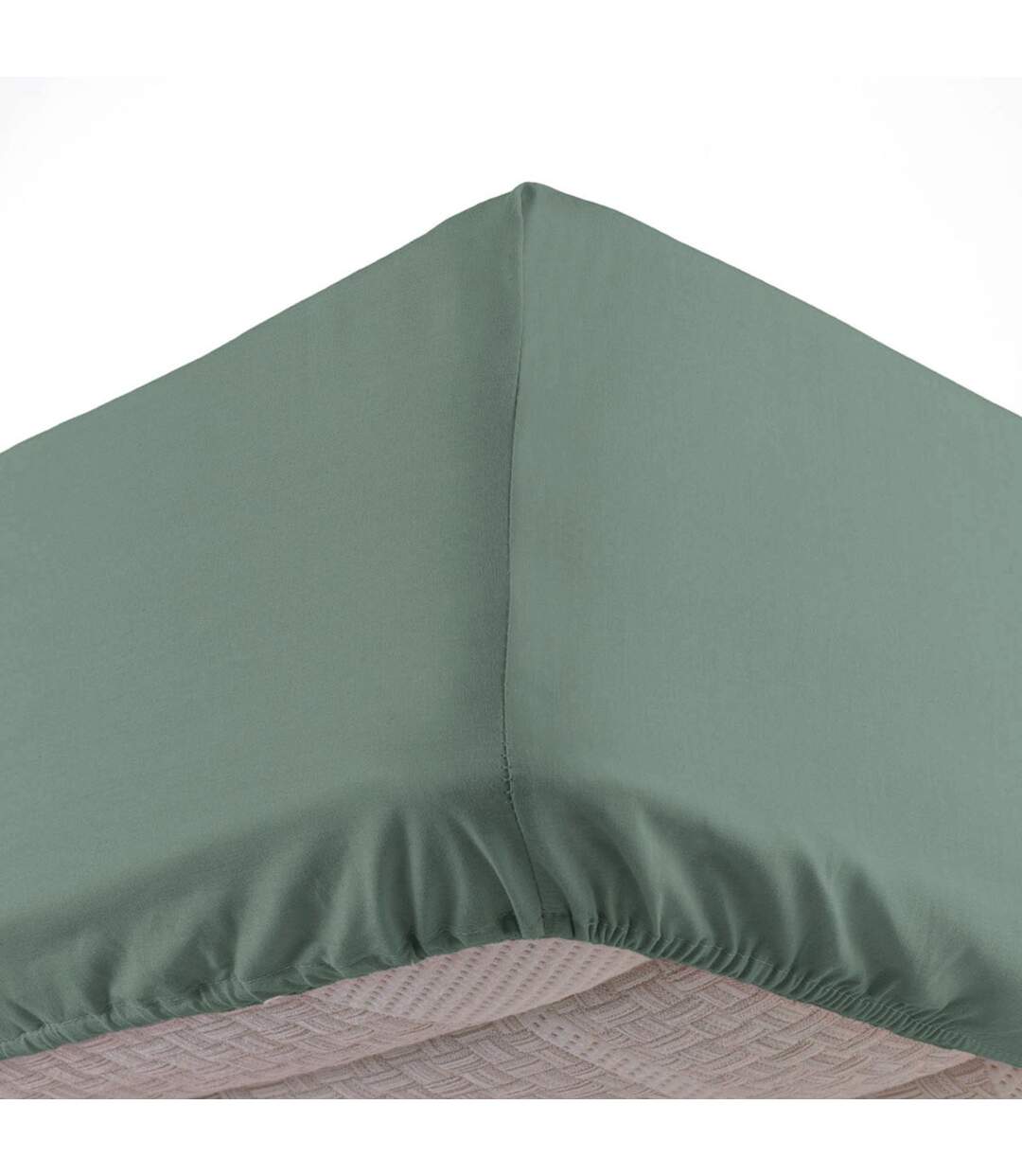 Drap Housse Uni Linella 160x200cm Sauge-1