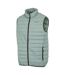 Mens hillpack ii gilet glacier Regatta-3