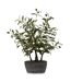 Arbre Artificiel en Pot Olivier 60cm Vert-1