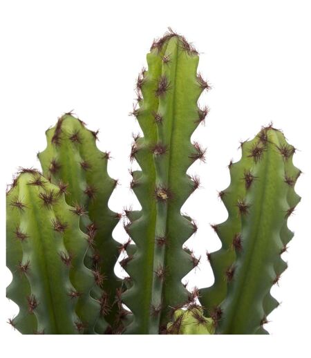Plante Artificielle Cactus Alicante 30cm Vert