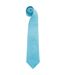 Premier Mens “Colors Plain Fashion / Business Tie (Pack of 2) (Turquoise) (One Size)