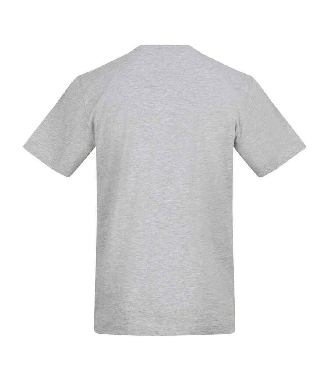 T-shirt adulte gris Awdis-2
