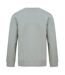 Henbury Unisex Adult Sustainable Sweatshirt (Heather Grey) - UTPC4907