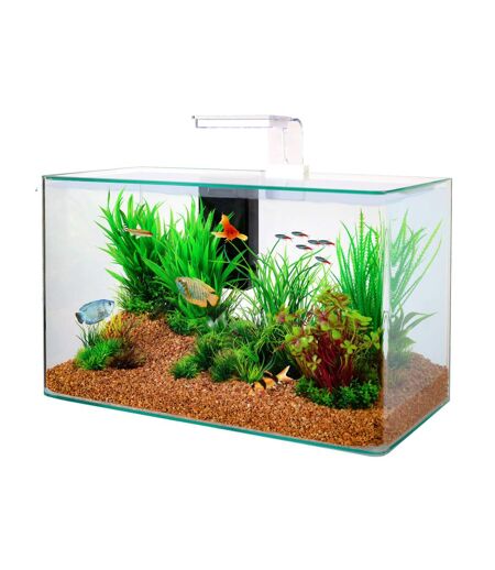 Kit aquarium Aqua clear 50 Blanc