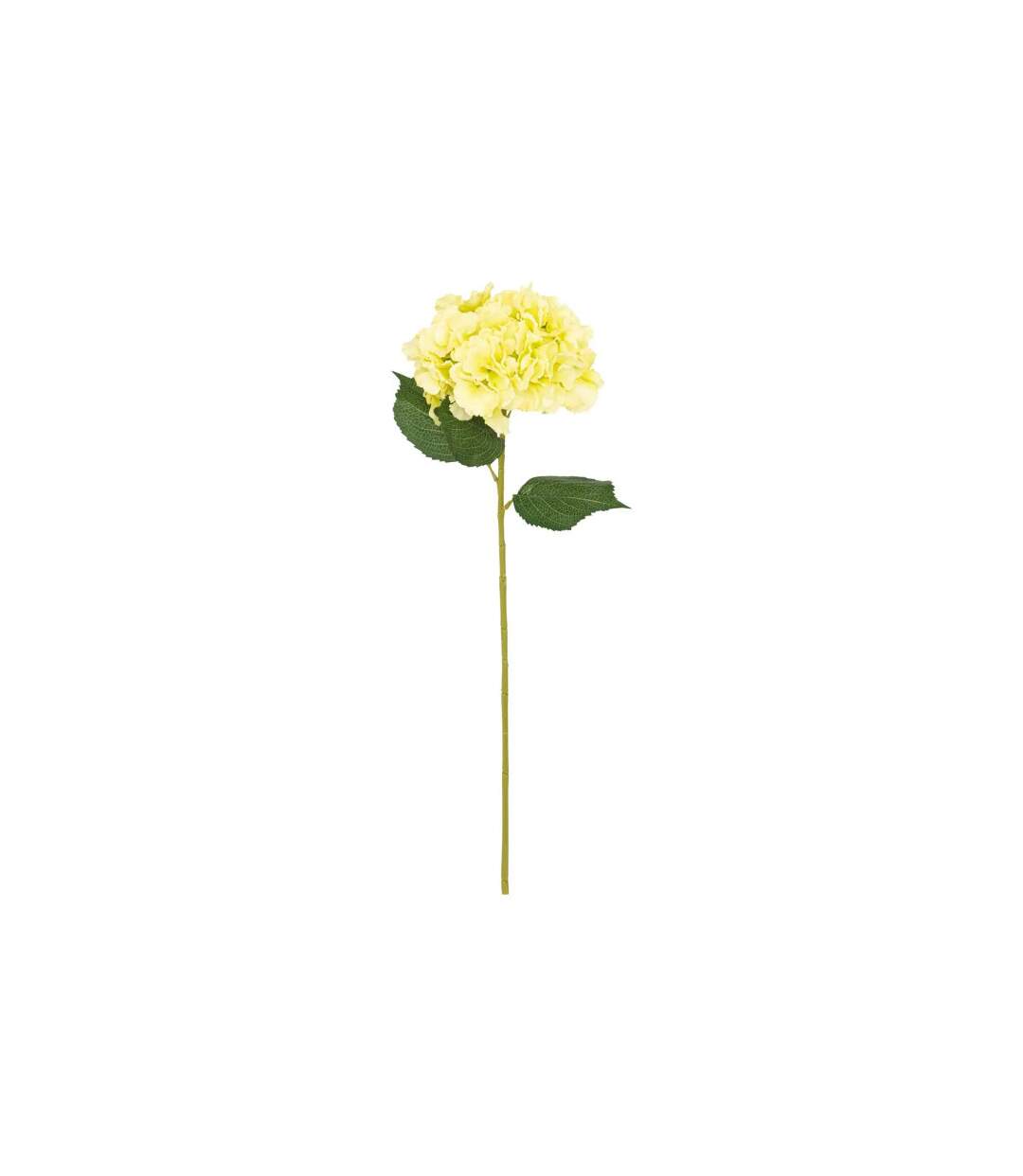Tige Hortensia Artificielle Serata 83cm Vert Clair-1