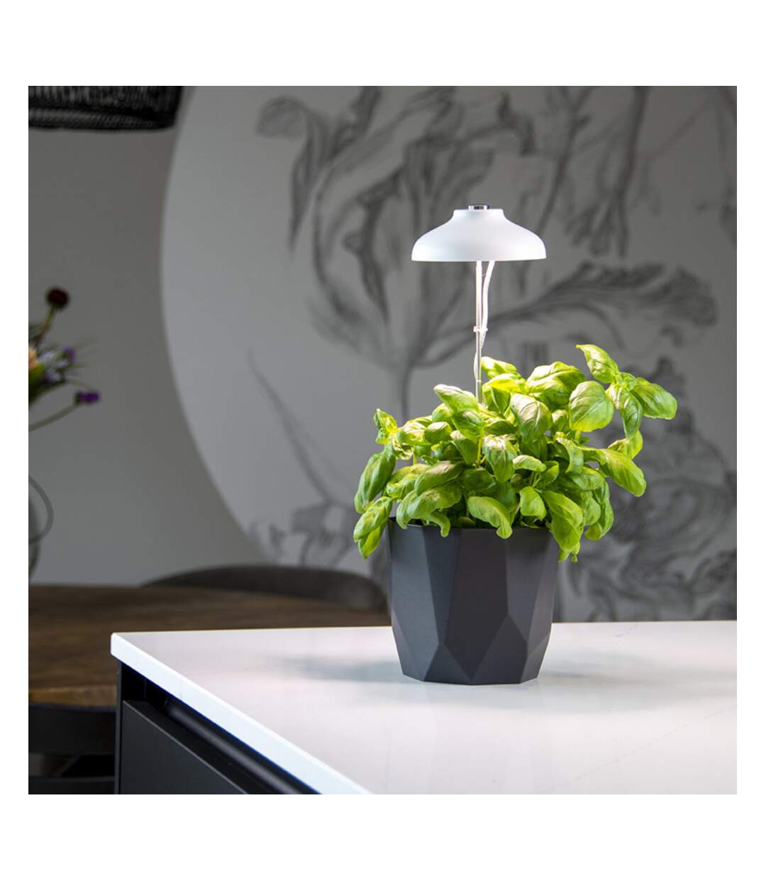 Lampe de croissance pour plantes ampoule led