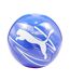 Ballon De Foot Attacanto Taille 5 Bleu Blanc Puma-1