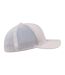 Casquette Trucker Adulte Argenté Flexfit-4