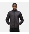 Regatta Mens Tourer Hybrid Padded Jacket (Black)