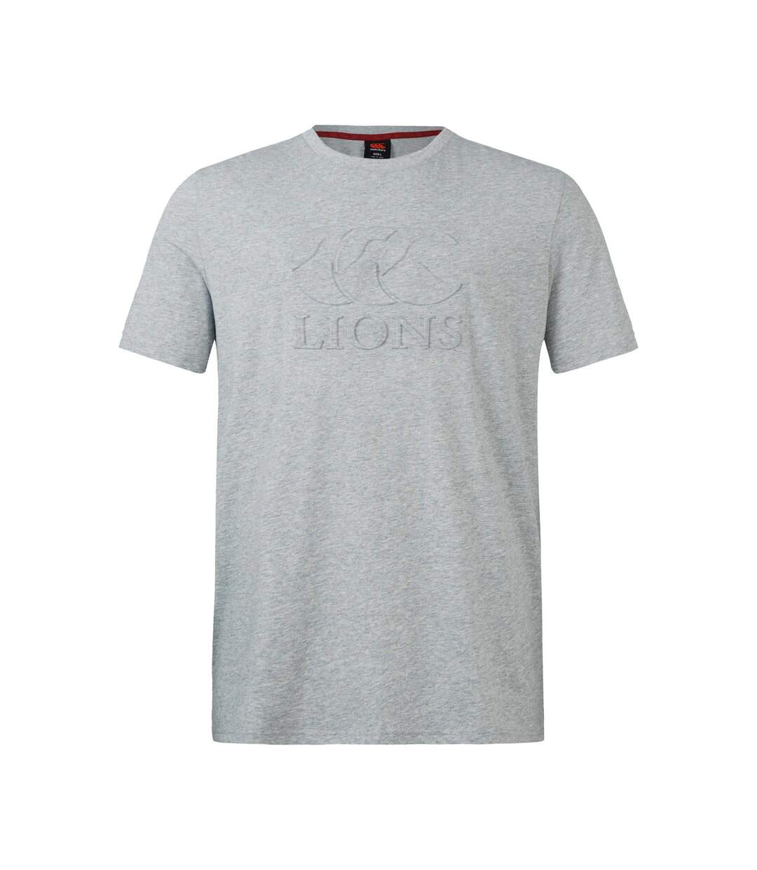 Unisex Adult Monument British & Irish Lions T-shirt Grey Canterbury-2
