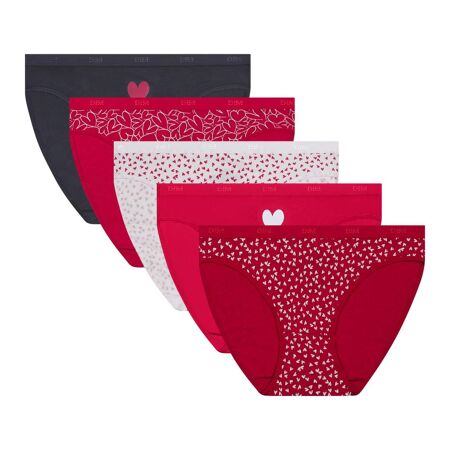 Lot de 5 culottes coton My Daily Confort