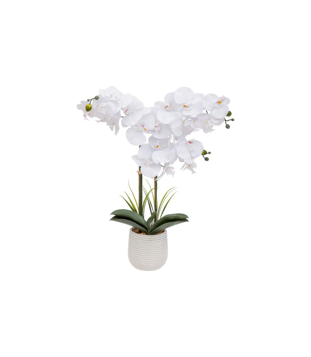 Orchidée Artificielle en Pot Riva 60cm Blanc-1