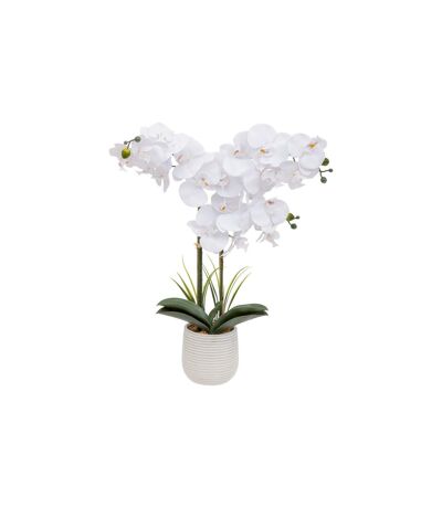 Orchidée Artificielle en Pot Riva 60cm Blanc