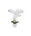 Orchidée Artificielle en Pot Riva 60cm Blanc-1
