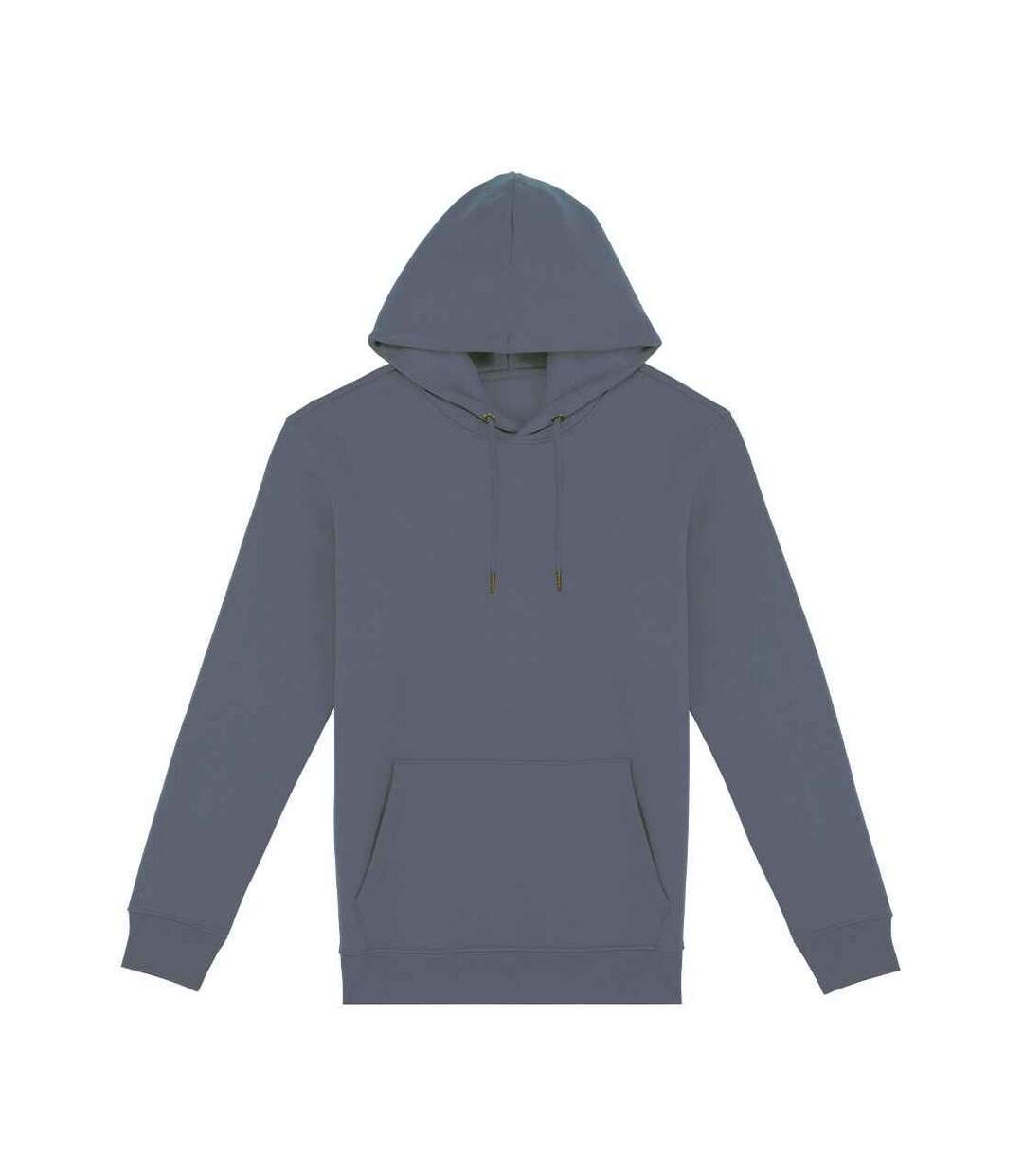 Sweat À Capuche Adulte Gris Native Spirit-1