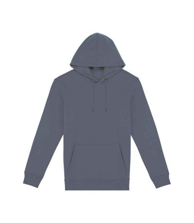 Sweat À Capuche Adulte Gris Native Spirit