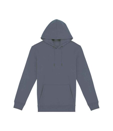 Sweat À Capuche Adulte Gris Native Spirit