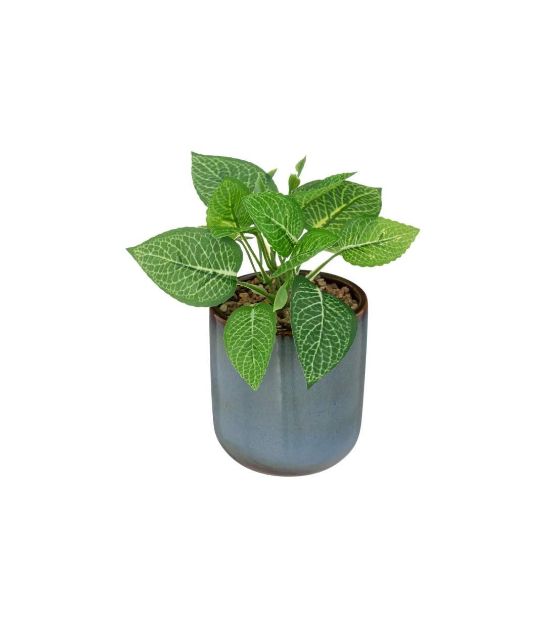 Plante Artificielle en Pot Reac 16cm Bleu & Vert-1