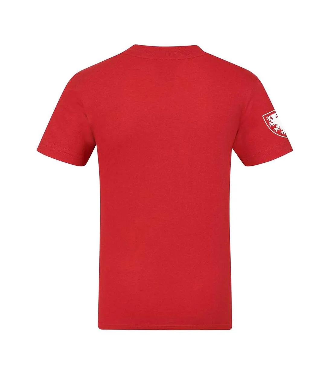 T-shirt Motif/style Graphique Homme Rouge FA Wales-2