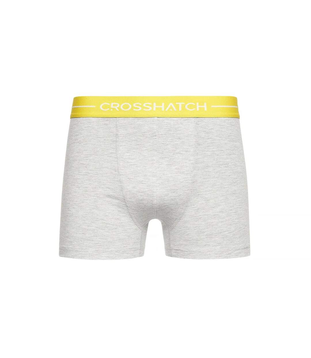 Lot De 11  Boxers Astral Homme Gris Crosshatch-3