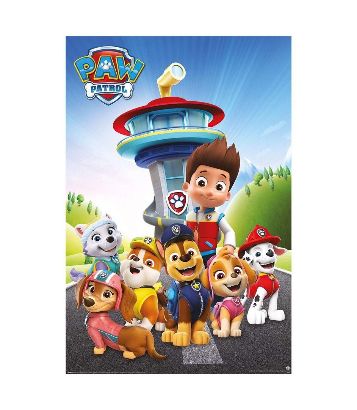 Paw Patrol Ready For Action Poster (Multicolored) (91.5cm x 0.1cm x 91 ...