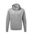 Sweatshirt À Capuche  Pour Homme Gris Clair Russell-1