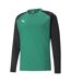 Mens Teamliga Long-sleeved T-shirt Green Black Puma-1
