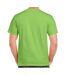 T-shirt Adulte Vert Clair Gildan-2