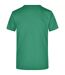 T-shirt Adulte Vert Irlandais James And Nicholson-2