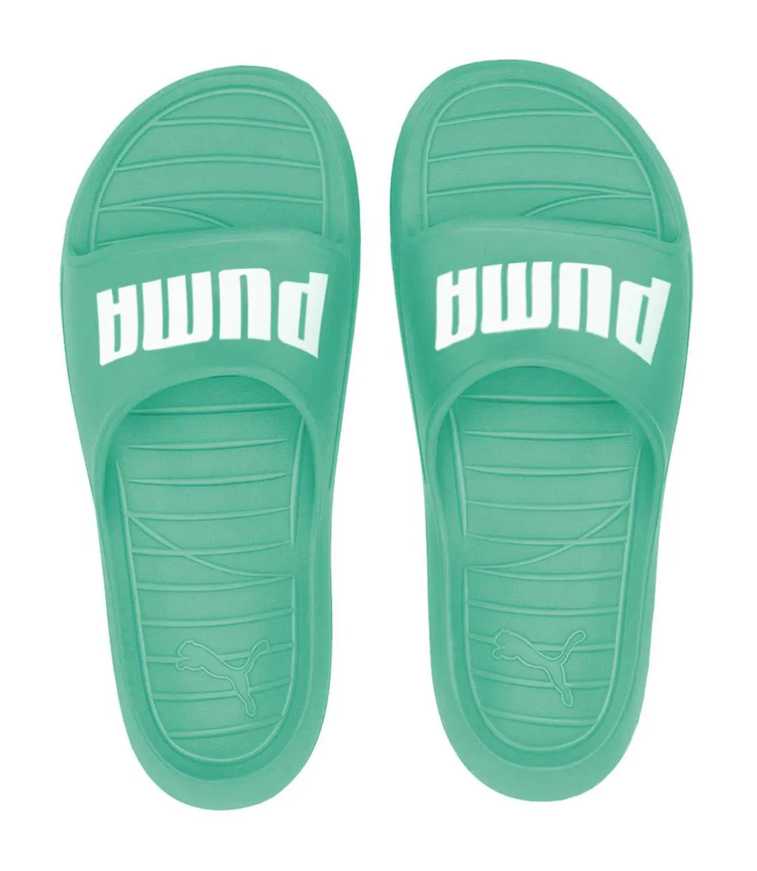 Claquettes Divecat V2 Homme Vert Puma-4