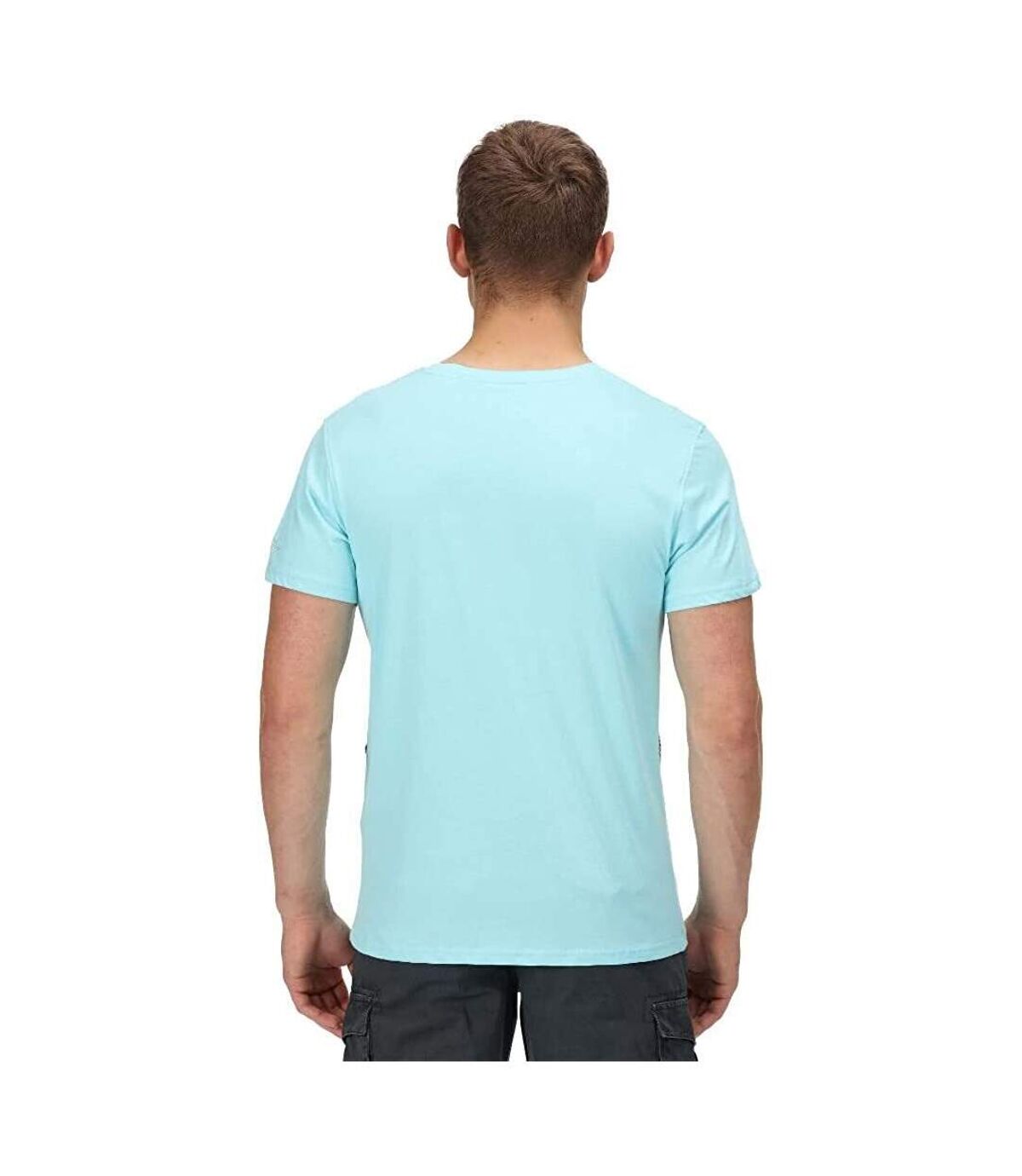 Regatta Mens Cline VI Leaves Cotton T-Shirt (Antigua Blue) - UTRG6665