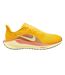 Baskets Motif/style Pégase Air Zoom Pegasus Road Homme Orange Nike-1