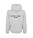 Sweat À Capuche Adulte Gris Chiné Calvin Klein-3