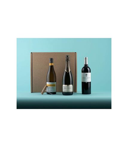 Coffret de 3 bouteilles : vin rouge, vin blanc et champagne livrés à domicile - SMARTBOX - Coffret Cadeau Gastronomie
