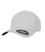 Casquette Delta Argenté Flexfit-1