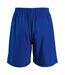 SOLS Mens San Siro 2 Sport Shorts (Royal Blue) - UTPC2177