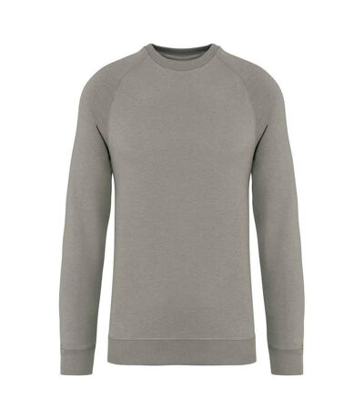 Native Spirit Unisex Adult Raglan Sweatshirt (Almond Green) - UTPC6798