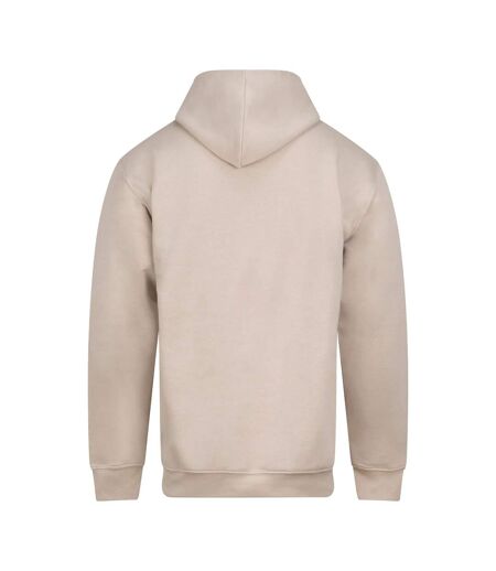 Sweat À Capuche Homme Beige Gris PRO RTX