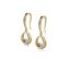 Boucles d'oreilles Tristin Hook - Cristal d'Autriche-4