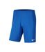 Short Dry Park Homme Bleu Roi Nike-1
