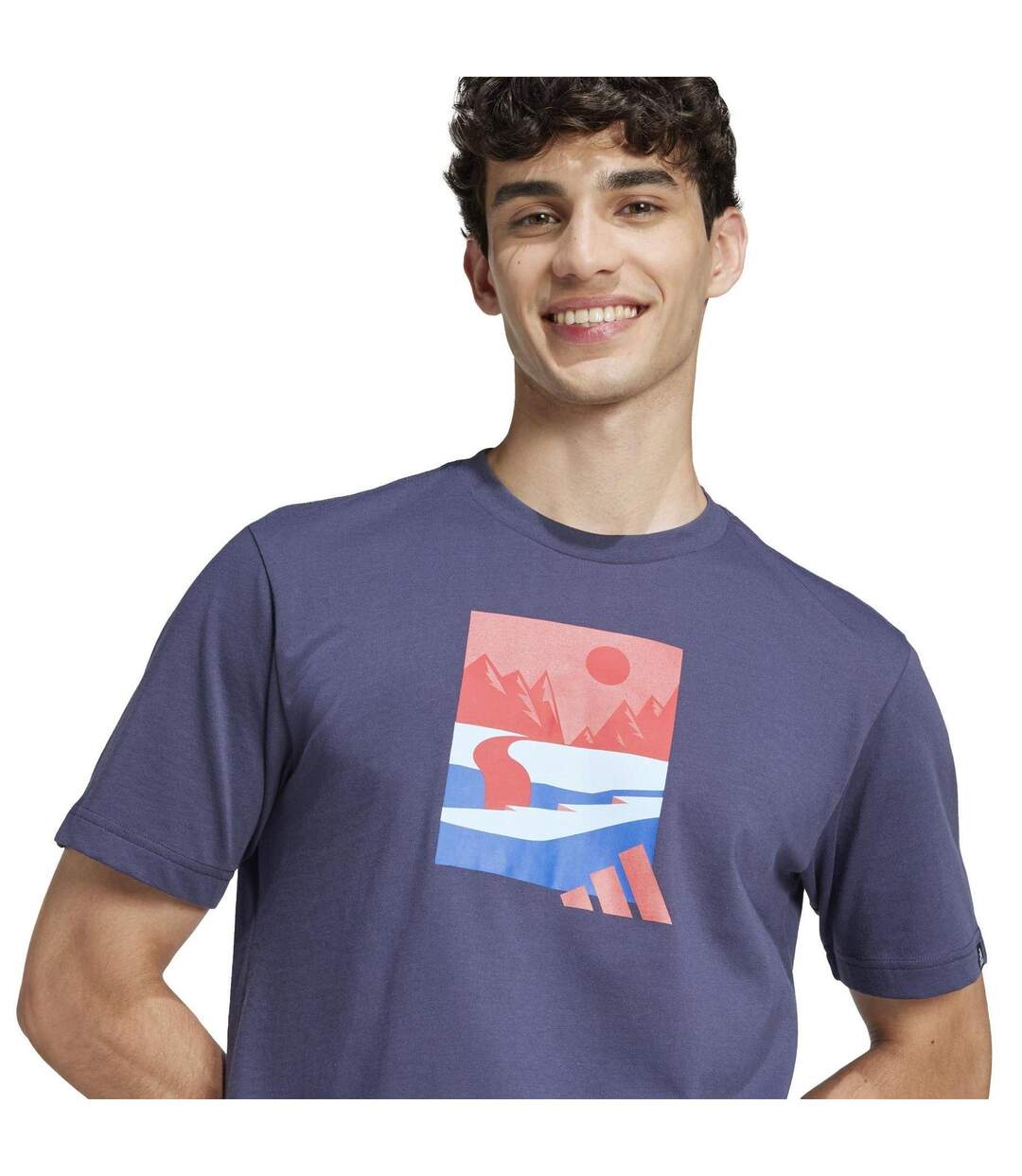 Mens Mountain Logo T-shirt Navy Adidas-4