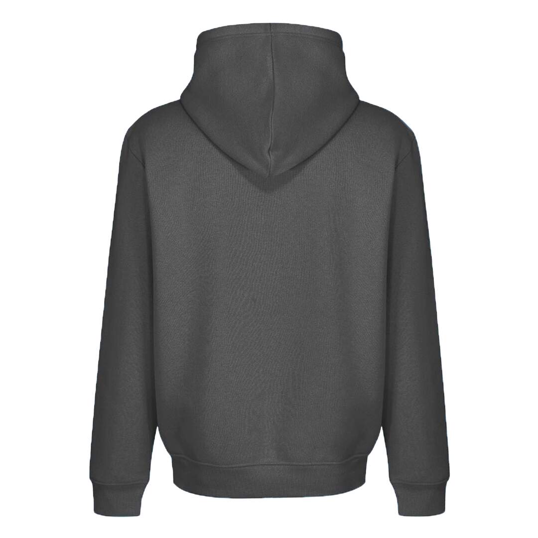 Sweat à capuche homme gris charbon RIPT Essentials-2