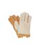 Eastern Counties Leather Womens/Ladies Crochet Driving Gloves (Tan)