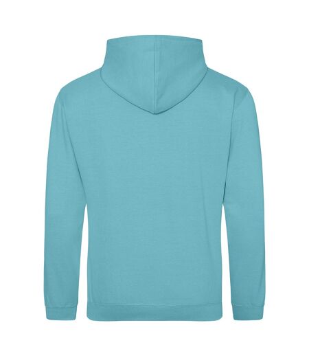 Sweat À Capuche College Adulte Bleu Ciel Awdis