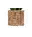 Plante Artificielle Bunch de Lin Zya 122cm Vert-3