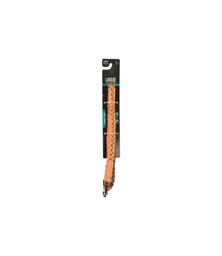 Laisse pour Chien en Cuir Tressé 120cm Naturel