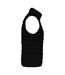 Native Spirit Womens/Ladies Light Recycled Body Warmer (Black) - UTPC5122