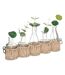 Lot de 5 Soliflores & Tiges Cosy 40cm Beige-1